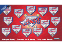 Angels - Baseball - T-ball - Team Banner Design