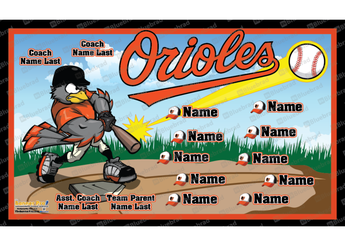 Orioles 2006190341 - Baseball - T-ball - Team Banner Design  
