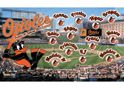Orioles 2 - Baseball - T-ball - Team Banner Design  