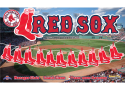 RED SOX - Baseball T-ball - Team Banner Design 