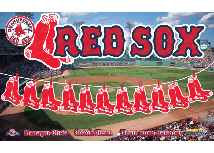 RED SOX - Baseball T-ball - Team Banner Design 