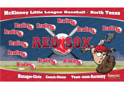 Red Sox - Baseball - T-ball - Team Banner Design