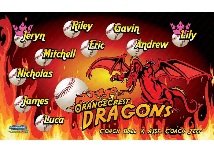 Dragons - Baseball T-ball- Team Banner Design 
