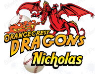 Dragons - Baseball T-ball- Team Banner Design 