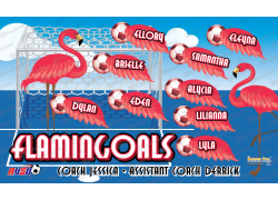 Flamingoals 1 - Team Banner Design 