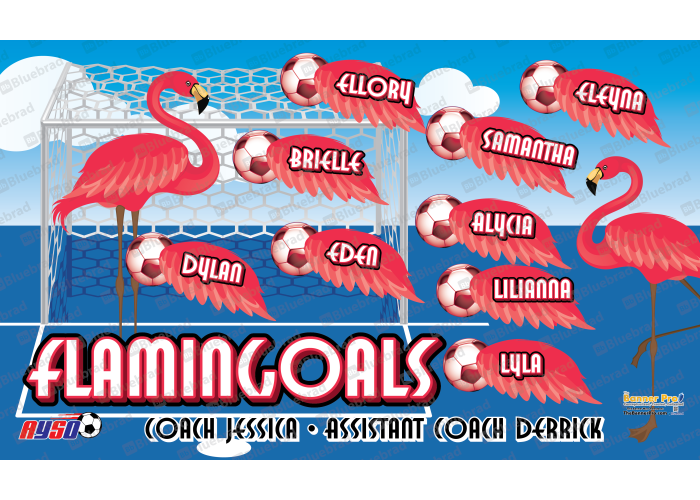 Flamingoals 1 - Team Banner Design 