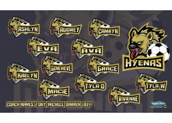 Hyenas - Team Banner Design 