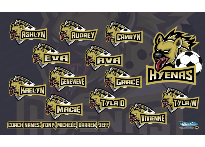 Hyenas - Team Banner Design 