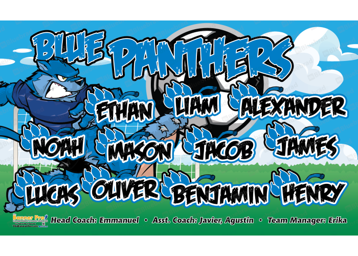 Blue Panthers 1 - Soccer - Team Banner Design 