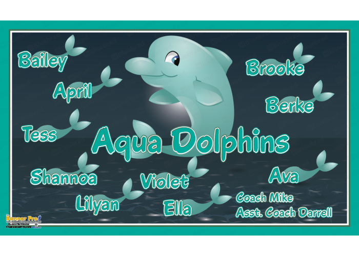 Aqua Dolphins 1 - Team Banner Design 