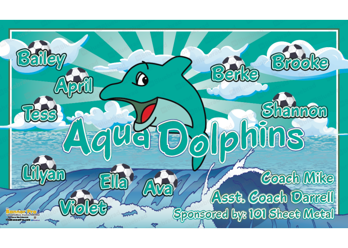 Aqua Dolphins 2 - Team Banner Design 