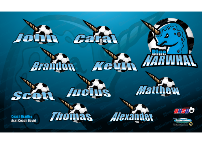 Blue Narwhal - Team Banner Design 
