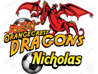 Dragons - Soccer - Team Banner Design 
