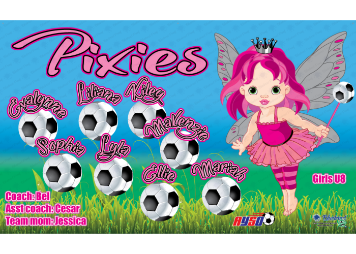Pixies - Soccer - Team Banner Design 