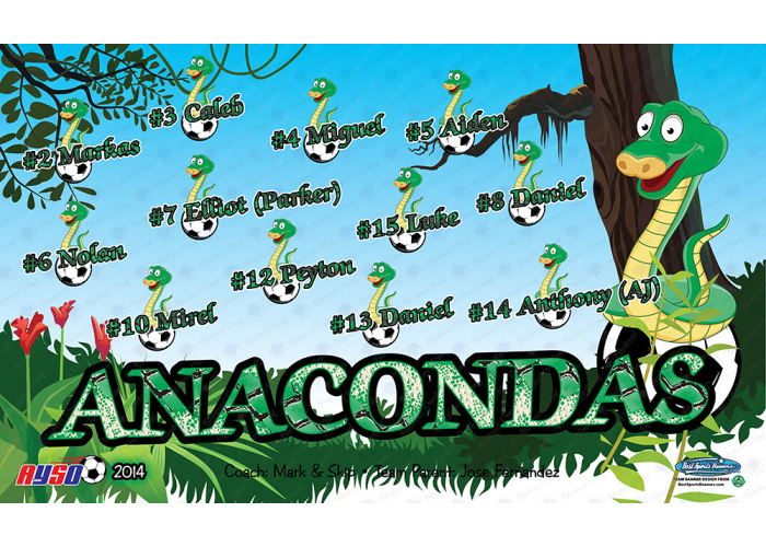 ANACONDAS - Soccer - Team Banner Design 