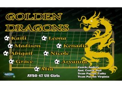 Golden Dragons - Soccer - Team Banner Design 