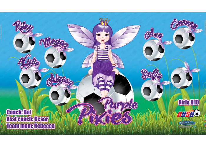Purple Pixies - Soccer - Team Banner Design 