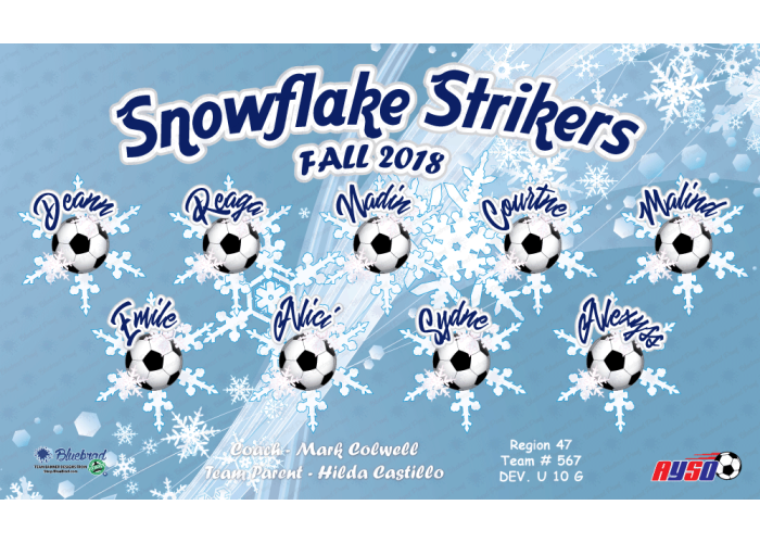 Snowflake Strikers - Team Banner Design 