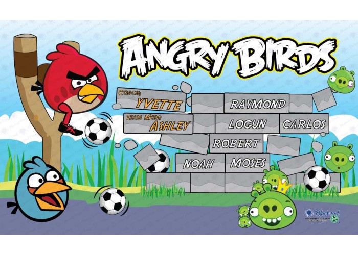 Angry Birds - Soccer - Team Banner Design 