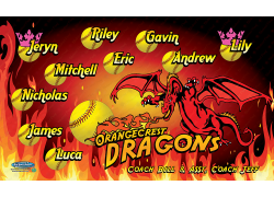 Dragons - Softball - Team Banner Design 