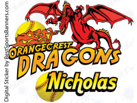 Dragons - Softball - Team Banner Design 