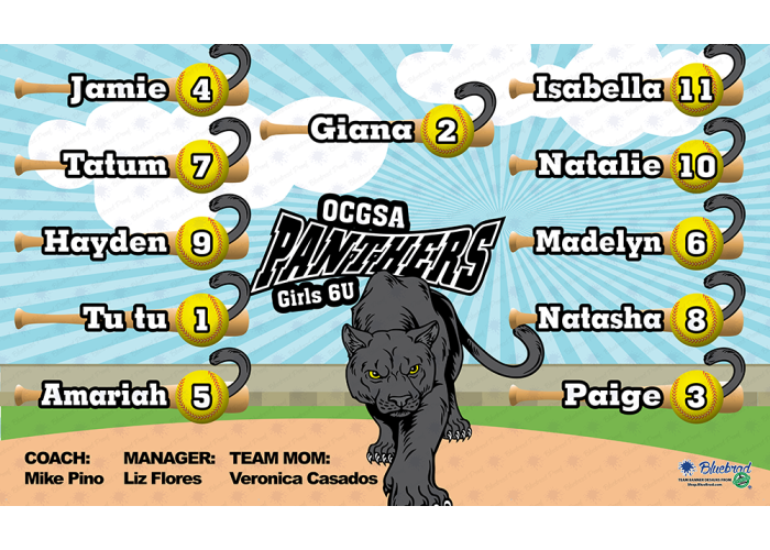 Panthers - Baseball - T-ball - Team Banner Design