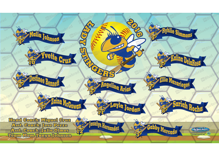 Stingers - Softball - Team Banner Design 